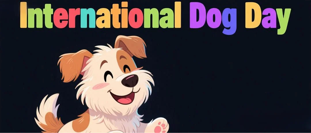 Sugeng DUMG INTERNATIONAL INTERNATIONAL!
