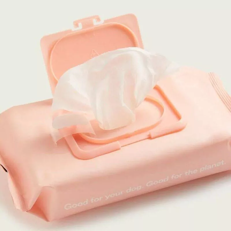 Best Make Up Wipes Cleansing: Skancar sing ora aktif kanggo 2025
