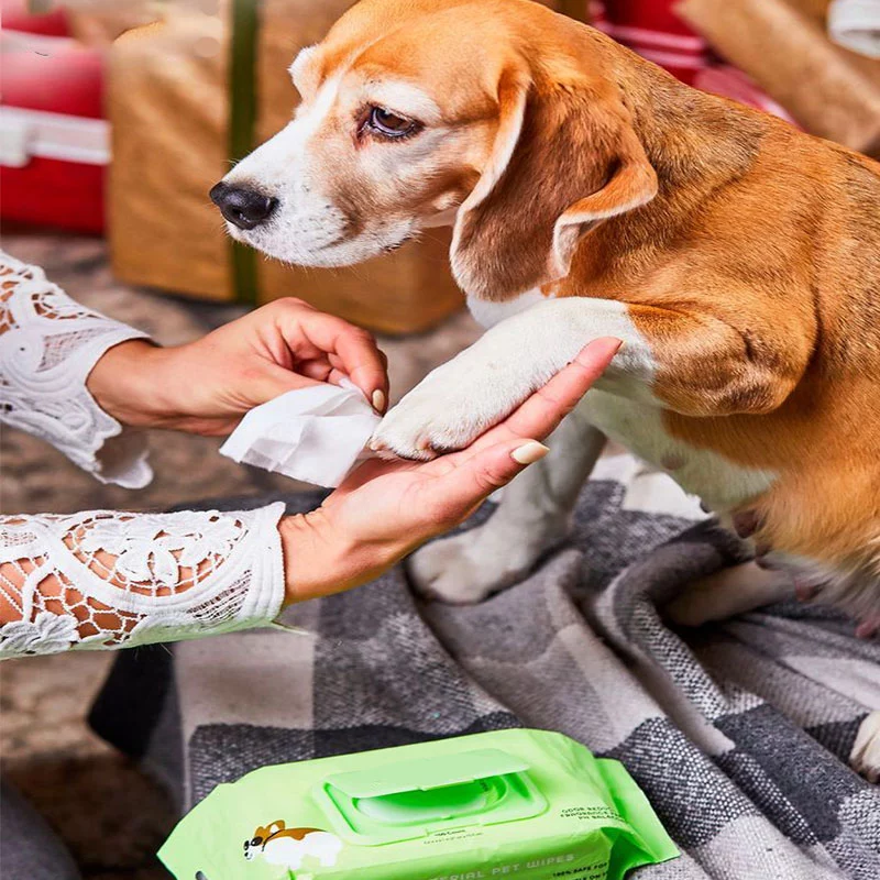 Wisata Pet Wipes