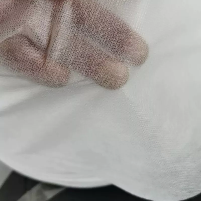 Poliester Viscose Non-Woven Fabric